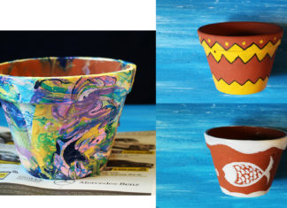 Tips: Give your indoor plants a fresh new look with nail polish