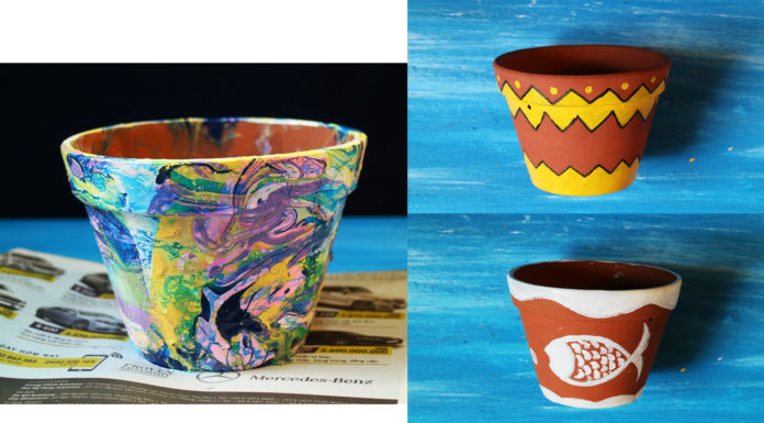 Tips: Give your indoor plants a fresh new look with nail polish