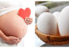 Can Eating Goose Eggs Make Pregnant Mothers Give Birth to Smarter Children?