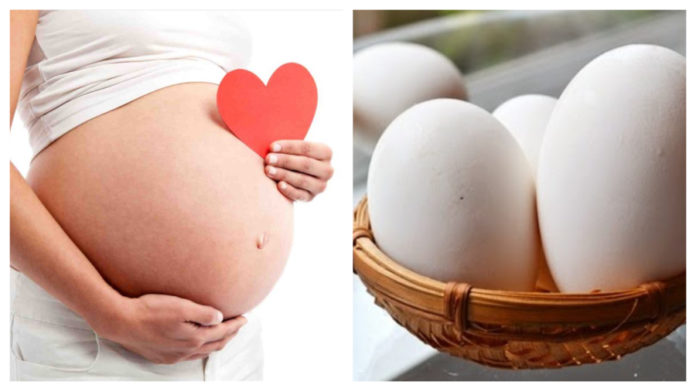 Can Eating Goose Eggs Make Pregnant Mothers Give Birth to Smarter Children?