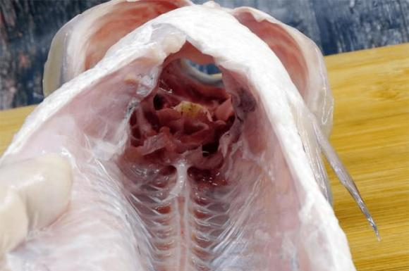 The 4 fishy smells that cannot be removed, only discarded, ruined by cooking