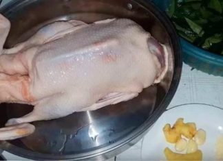 The Ultimate Guide to Boiling Duck: No Water Needed, Evenly Cooked, Fragrant, and 10 Times Better than Traditional Methods