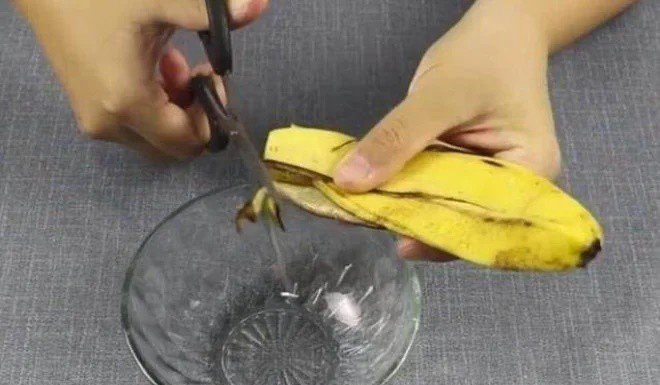 Don’t discard the banana peel after eating, cut it into small pieces and place it in a corner of the room, a miraculous event will happen overnight.
