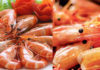 Is Shrimp Shell High in Calcium? Should Children Eat Shrimp With or Without the Shell?
