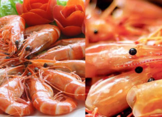 Is Shrimp Shell High in Calcium? Should Children Eat Shrimp With or Without the Shell?