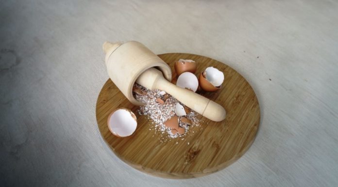 Don’t Waste Eggshells – Here Are Countless Valuable Uses to Save You Money