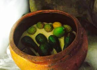 Surprising Benefits of Burying Fruits in Rice Barrels: Valuable Golden Tips