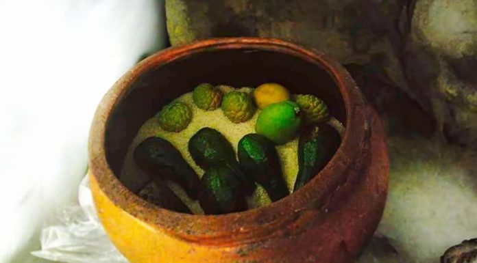 Surprising Benefits of Burying Fruits in Rice Barrels: Valuable Golden Tips