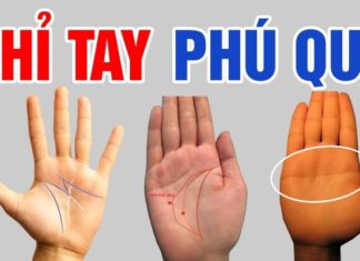 The Palm of Your Hand Has This One Point: Marked by Fortune, Abundant Luck Awaits