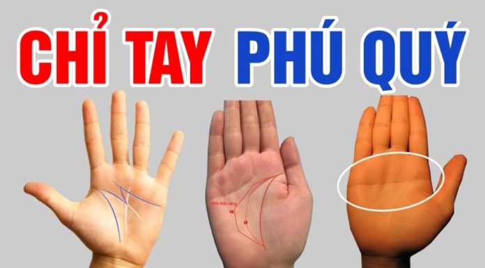 The Palm of Your Hand Has This One Point: Marked by Fortune, Abundant Luck Awaits