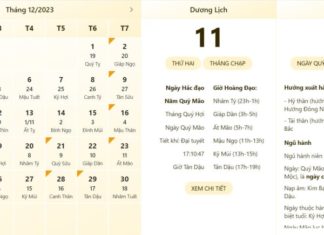 Best and Worst Times to Check on 11/12/2023: Accurate Hourly Forecast, Lunar Calendar, and Lucky Activities for the Start of the Week