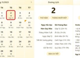 Best and Worst Times on 2/11/2023: What to Do to Attract Luck, What to Avoid to Prevent Bad Luck