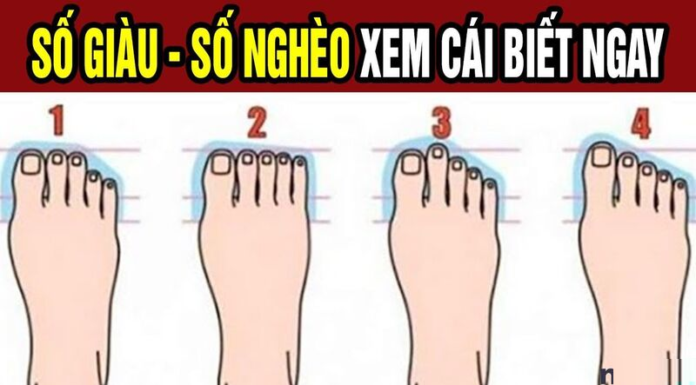 “Wealth and the Sole Indicator”