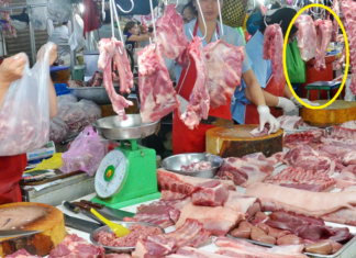 The 2 Most Valuable Meat Parts of a Pig: Early Market Visits and Weighing Less Than 1kg