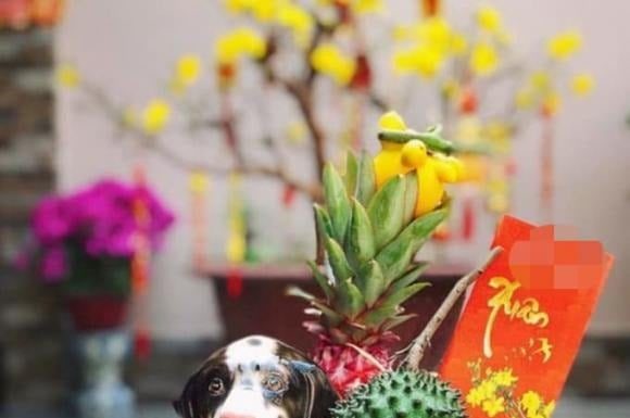 Why did ancient people choose to burn coconut as incense on Tet holiday, what is the meaning of coconut?