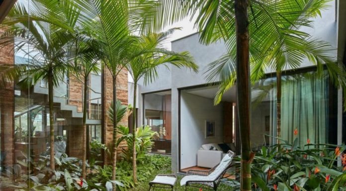 Plant 7 Types of Trees at Your Front Yard and Watch Abundance Pour In: From Poverty to Wealth with Just 1 Lucky Tree