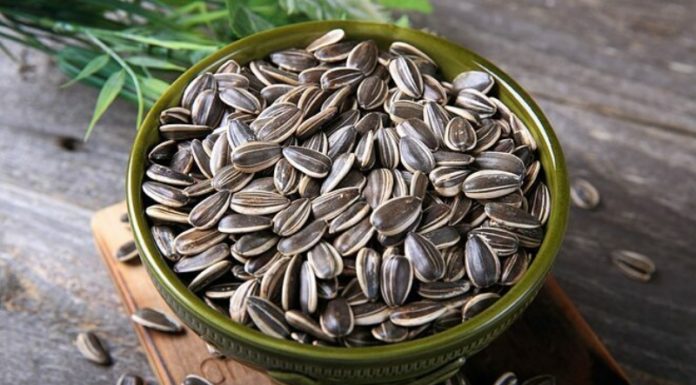 Delicious 14 Types of Festive Nuts: Prices for Different Nuts on Tet Holiday 2024