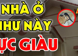 The Unsellable Trifecta: Time, Resilience, and the Future.