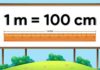 Convert 1m to mm, cm and dm in mathematics