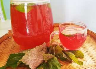 3 Time Slots to Drink Tia To Leaf Water, Golden Benefits: Don’t Miss Out