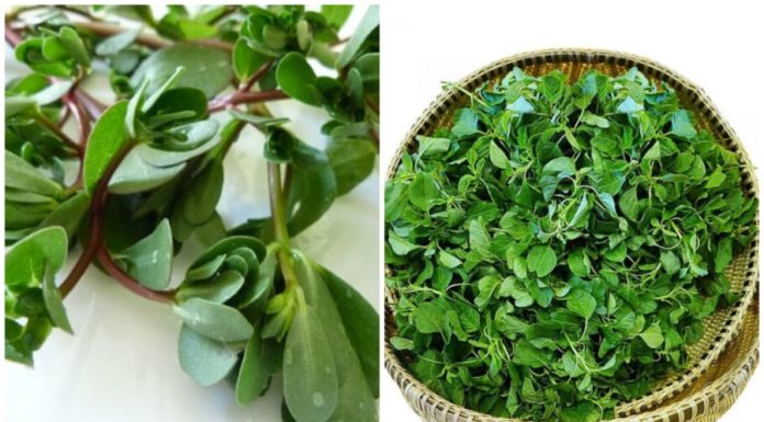 3 types of vegetables that are always pesticide-free: Equivalent to ginseng and bird’s nest, don’t overlook them