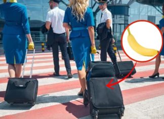 Why do flight attendants often carry bananas with their luggage? Surprising benefits of an apparently accidental habit.