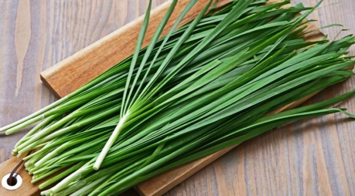 Superfood Vegetable: Boost Heart Health, Cleanse Blood, Enhance Immunity, and Deliciously Stir-Fry Meat