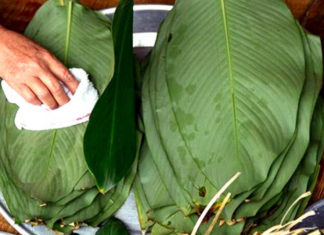 7 Ways to Boil Sticky Rice Cakes for Long-lasting, Green, and Firm Results