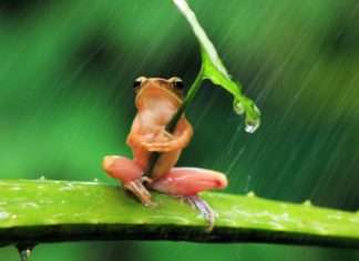 High-resolution Sad Rain and Meteor Shower Wallpapers for Phones and Computers