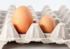 When buying eggs, should you choose big or small eggs?
