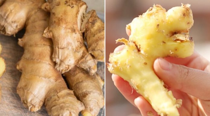 Eating ginger with or without the skin: Which is better? Many people are unaware of the answer.