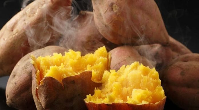 Eating sweet potatoes in the morning brings 7 incredible benefits: Did you know?