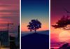 200+ High-Quality Chill Phone Wallpapers for Your Android and iPhone