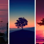 200+ High-Quality Chill Phone Wallpapers for Your Android and iPhone
