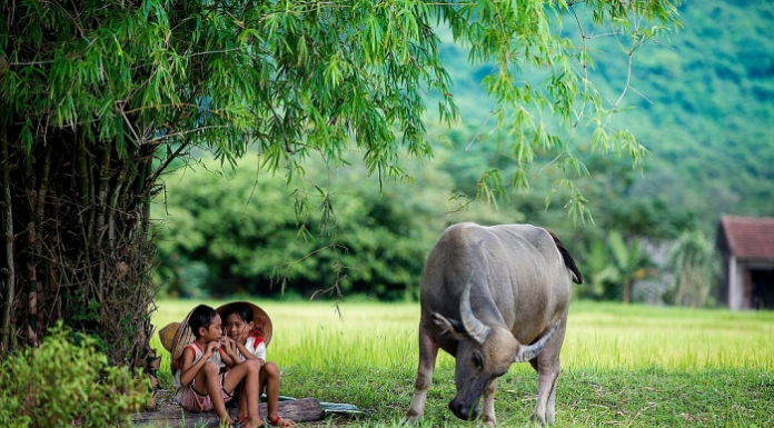 A billionaire’s lesson when sending his child back to the countryside: Don’t let myself get so poor that I only have money.