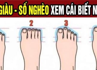 The Secret to Your Inner General: Uncover Your True Nature Through the Ancient Art of Foot Analysis – A Revolutionary Method with 99% Accuracy.