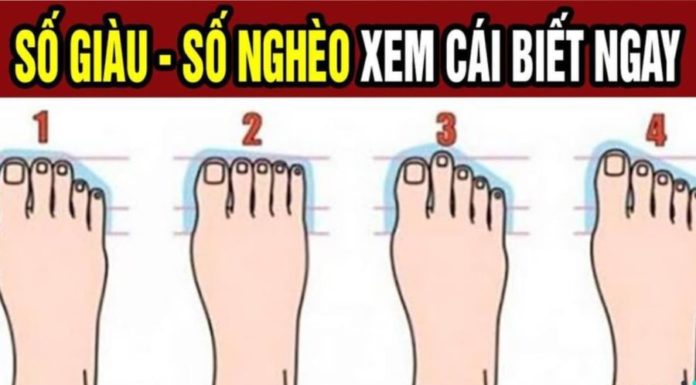 The Secret to Your Inner General: Uncover Your True Nature Through the Ancient Art of Foot Analysis – A Revolutionary Method with 99% Accuracy.