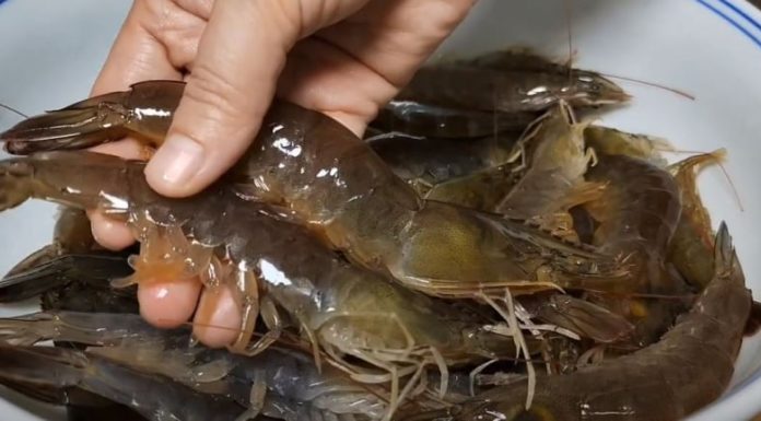 Preserve the freshness of shrimp this Tet by following these 3 simple steps for an entire month without discoloration