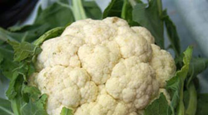 Tips for Choosing and Cooking Cabbage Soup