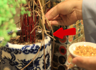 Cleaning the altar accidentally knocks over the incense bowl, is it a ‘disaster’ or not?