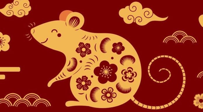 Revealing the Lucky Colors of the 12 Zodiac Animals in 2024, Year of the Wood Tiger
