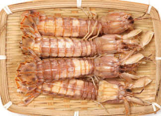 2 Easy Ways to Peel Seafood Shells for Seafood Lovers