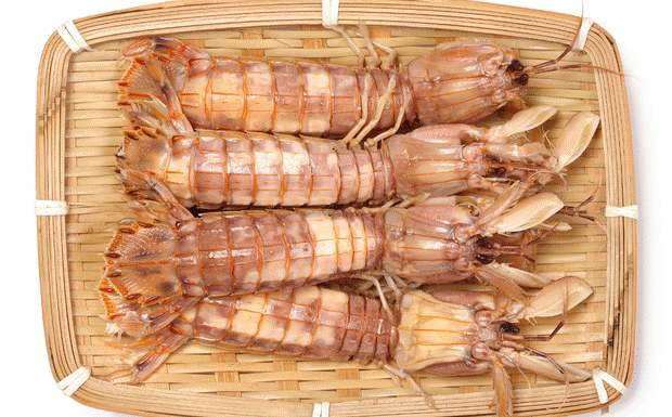 2 Easy Ways to Peel Seafood Shells for Seafood Lovers