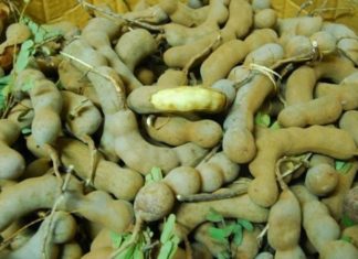 How to make delicious and tangy whole preserved tamarind for Tet festivities