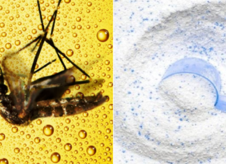 What are the benefits of mixing laundry detergent with beer?