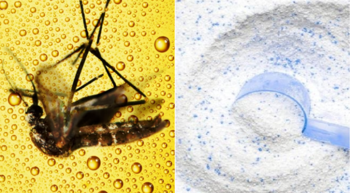 What are the benefits of mixing laundry detergent with beer?