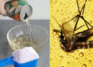 Surprising Benefits of Mixing Detergent with Leftover Beer, Cost-saving and a Must-have for Every Household