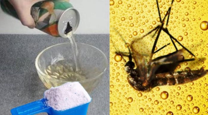 Surprising Benefits of Mixing Detergent with Leftover Beer, Cost-saving and a Must-have for Every Household