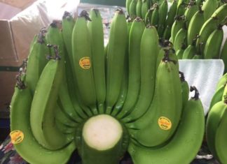 5 Symbolic Fruits Representing the Five Elements for Prosperity