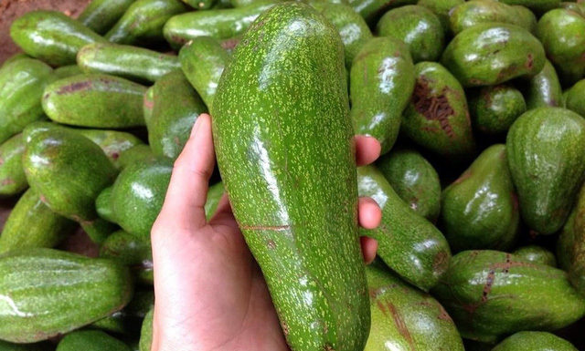 Is there chemical contamination in butter? Look at the core stem to find out.